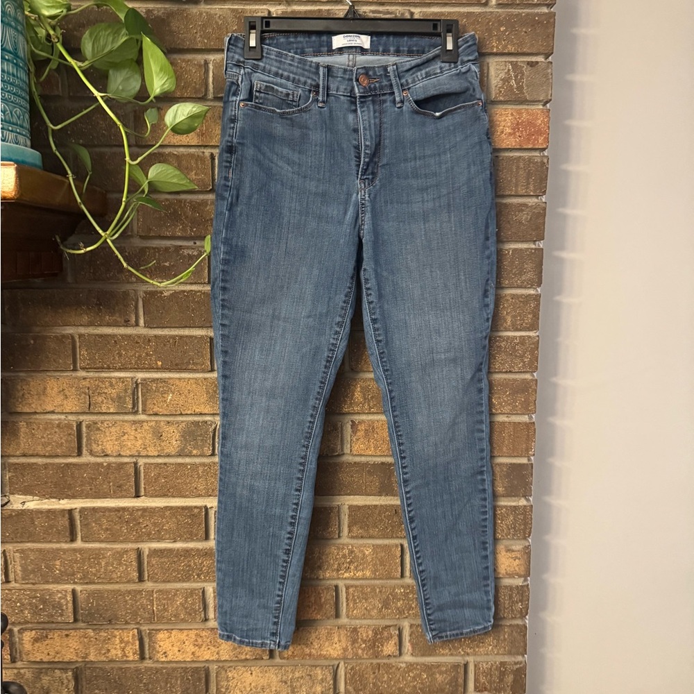 Denizen Levi’s